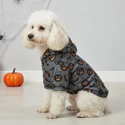 Sudadera gris Halloween para perro y gato con estampado de calabaza y murciélago