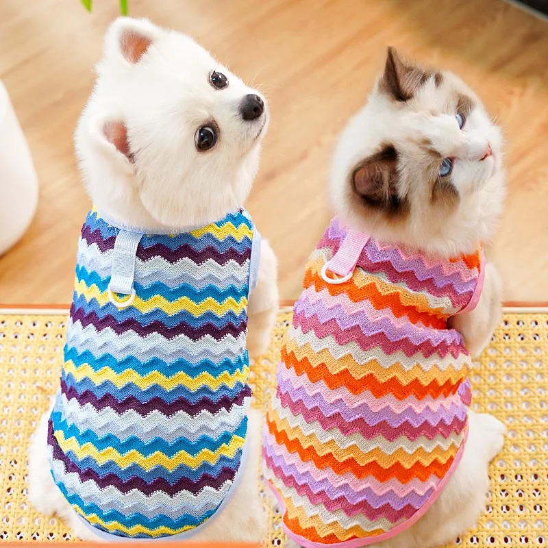 Chaleco transpirable sin mangas para Chihuahua, perros y gatos oso Teddy - imagen 3