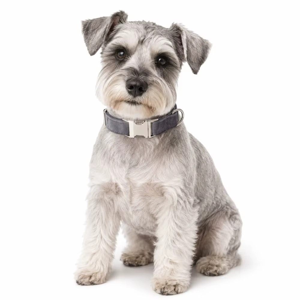Collar de invierno de terciopelo para perro con hebilla y correa - imagen 3
