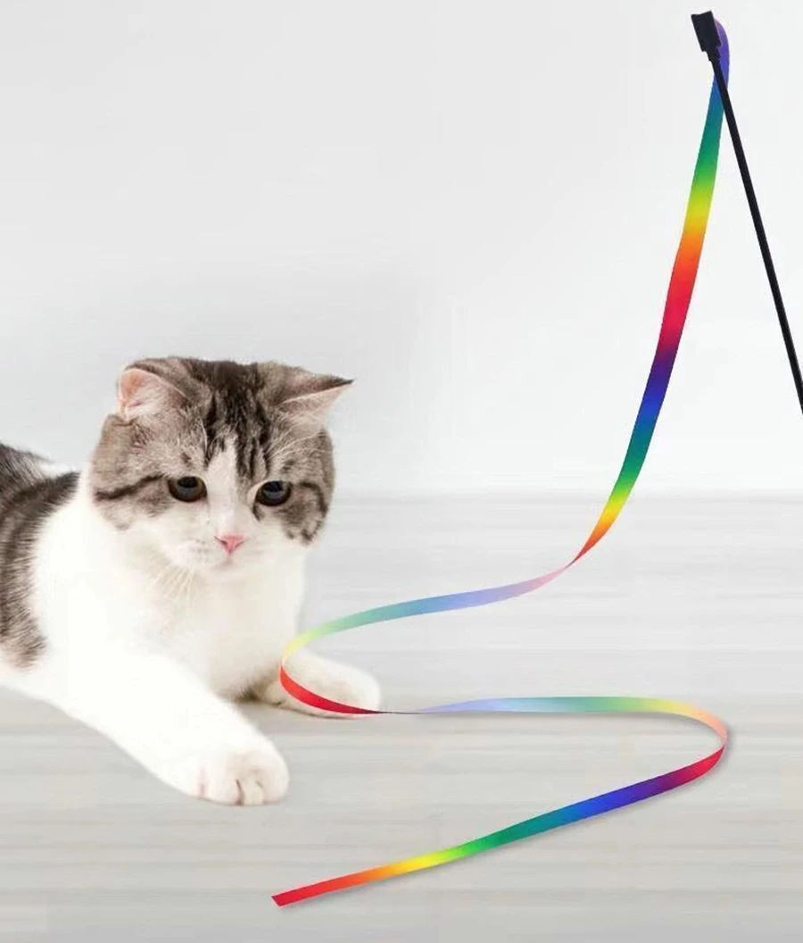 Juguete para gatitos en uso