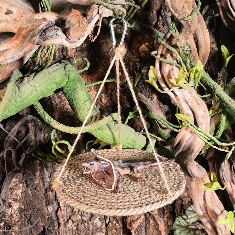 Hamaca en terrario desértico