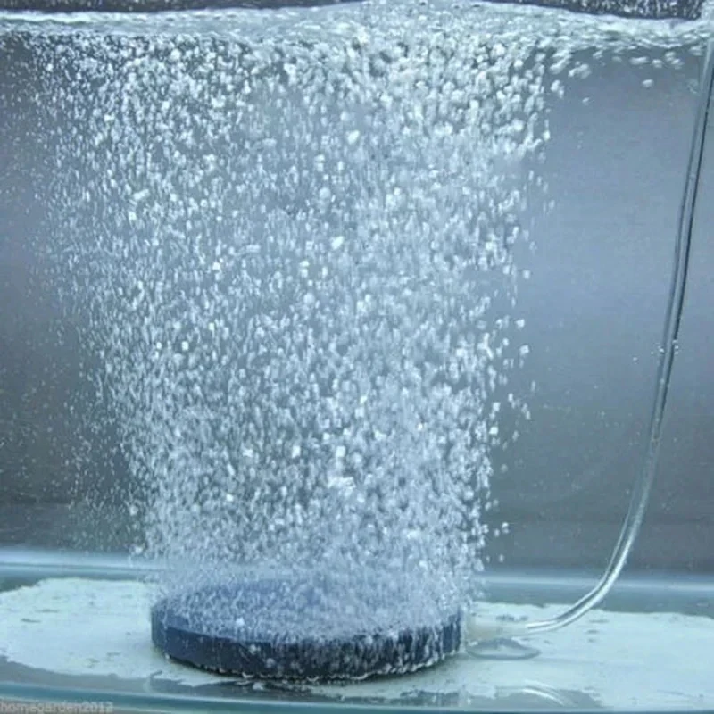 Aireador para pecera de disco de piedra porosa, para gatos y perros - imagen 4