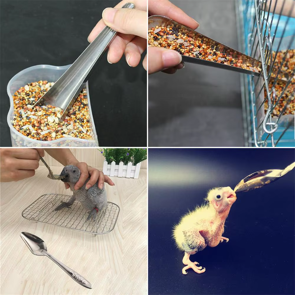 Cuchara acero inoxidable para alimentar loros y pavos reales - imagen 4