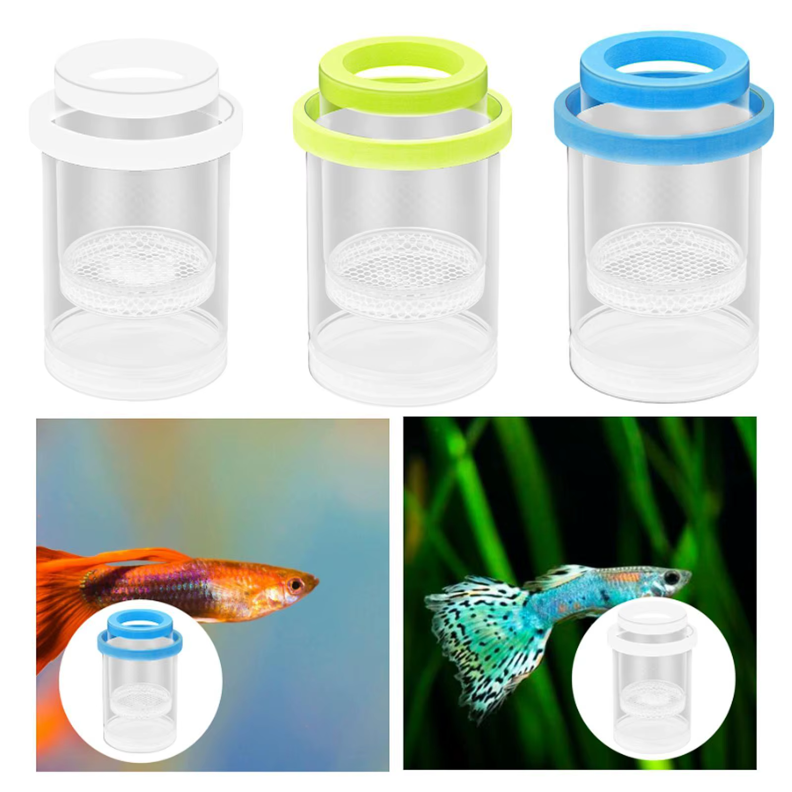 Caja Incubadora Flotante Redonda para Peces – Protector de Crías para Acuario - imagen 5