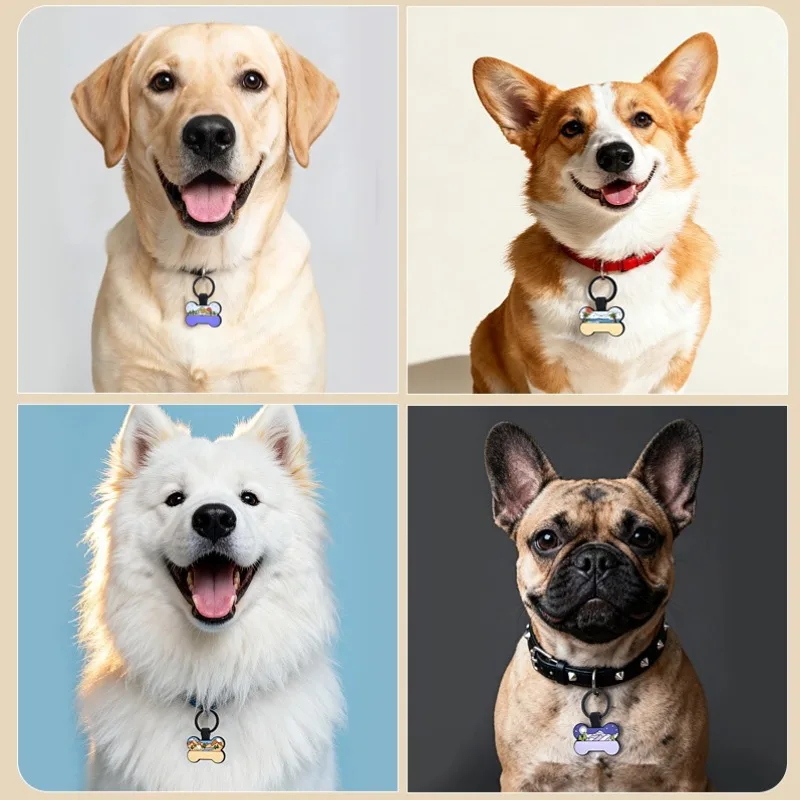 Colores disponibles de etiquetas para mascotas