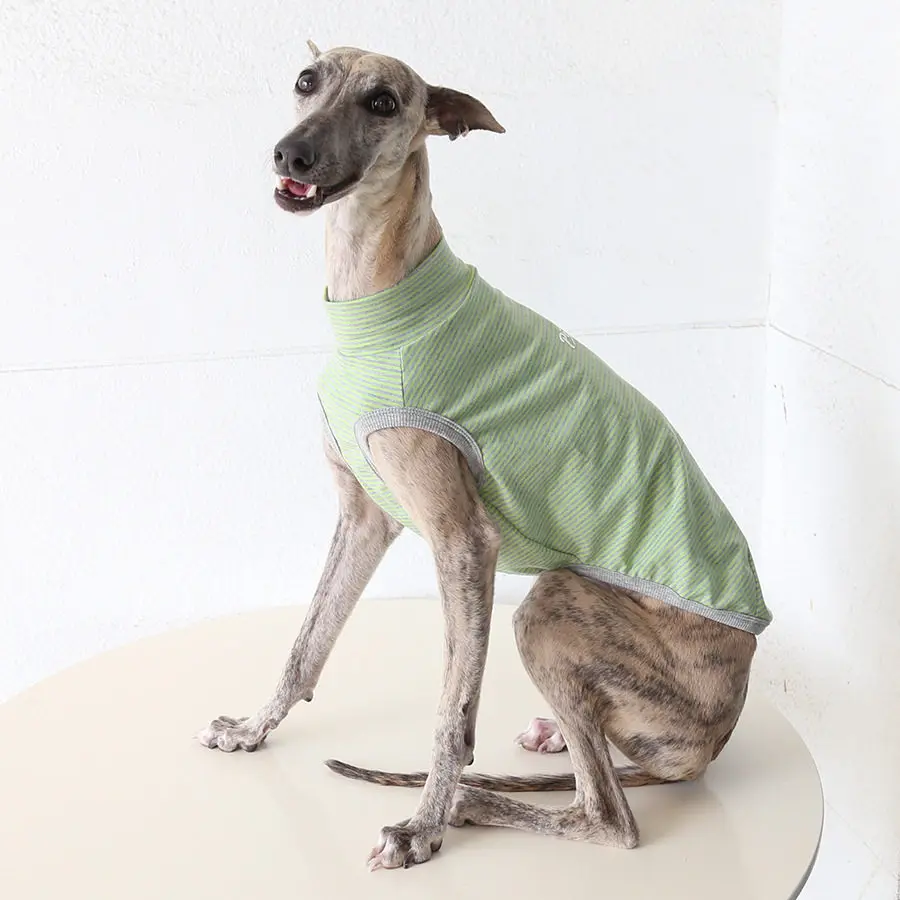 Detalle trasero de la ropa transpirable para whippets