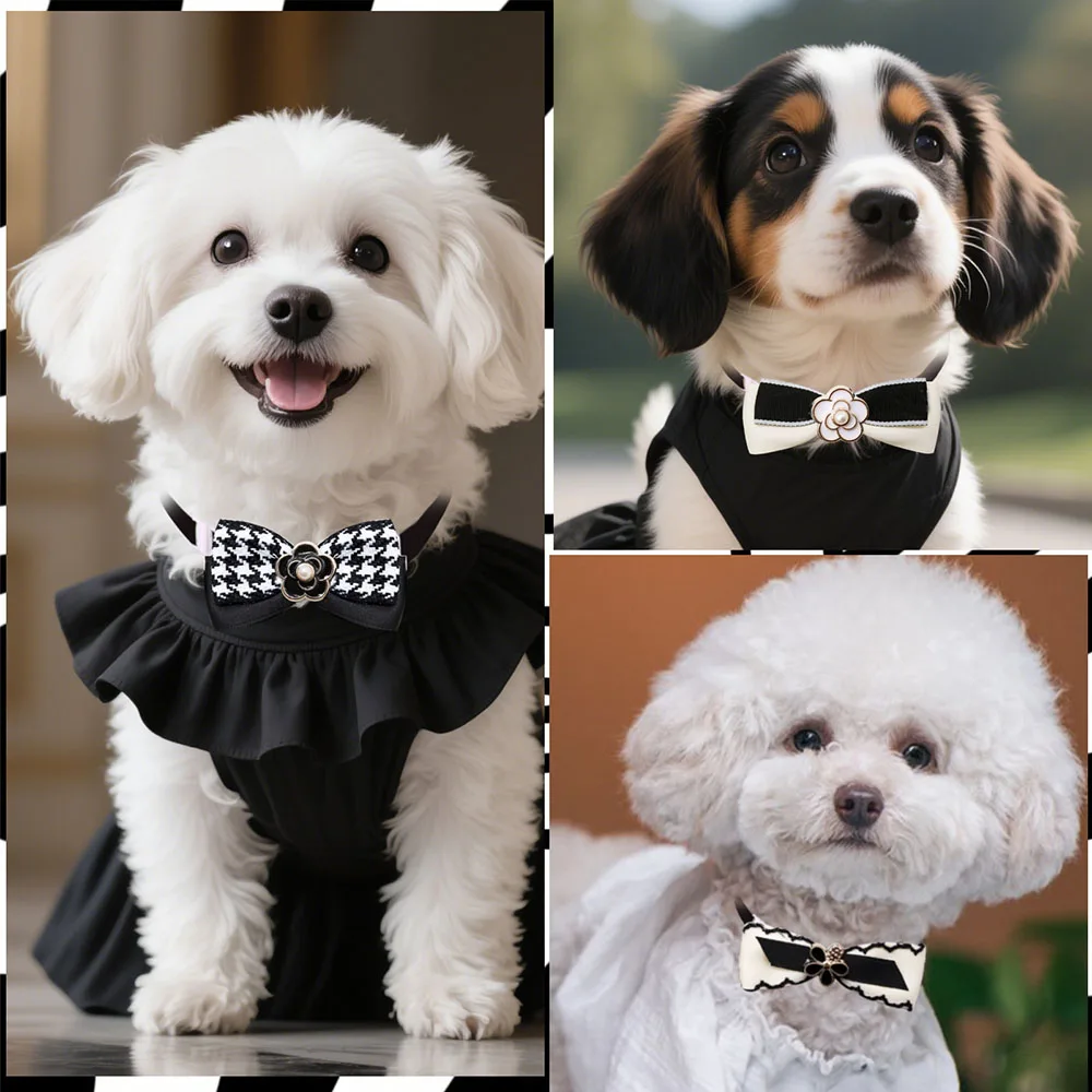 Lazo decorativo para mascota 2
