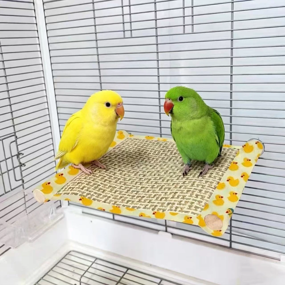 Plataforma refrescante de descanso para periquitos, agapornis y loros - imagen 5