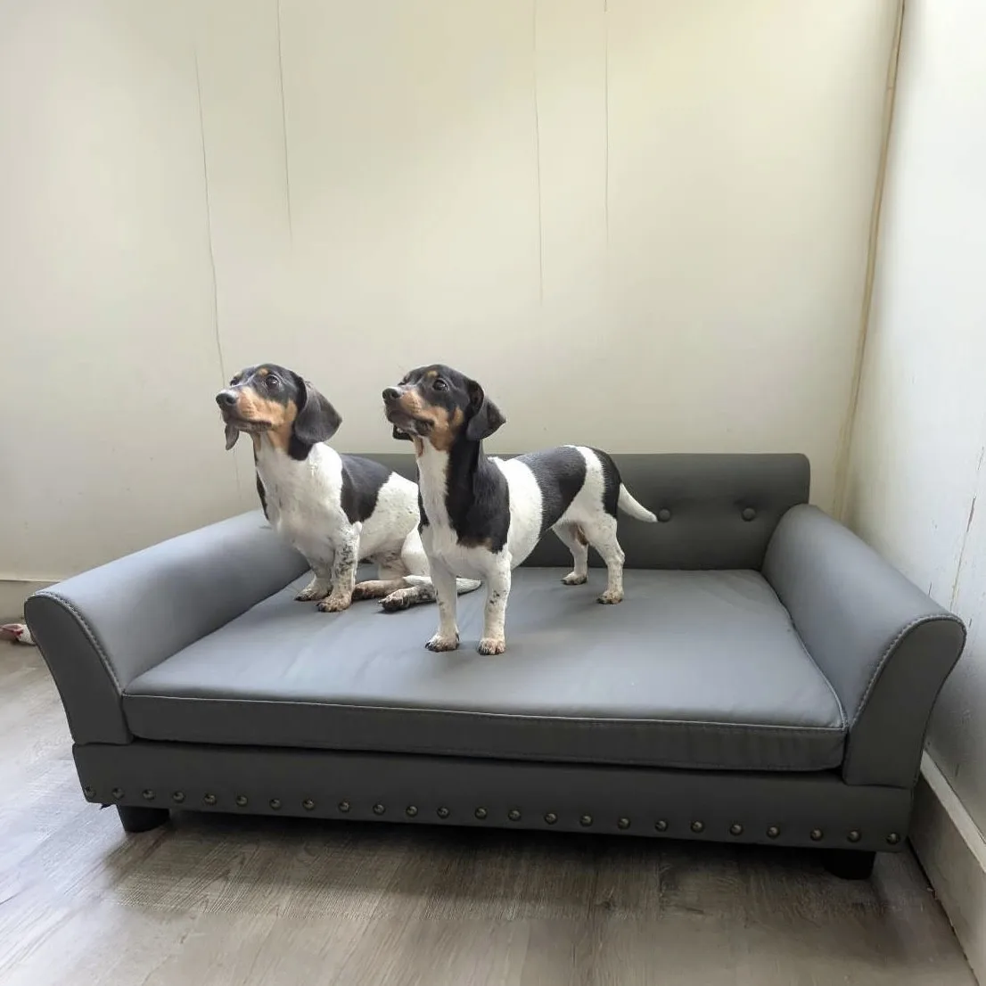 Sofá cama elevado para perros grandes: cojín cómodo y resistente - imagen 5