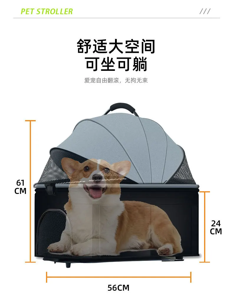 Mascota viajando