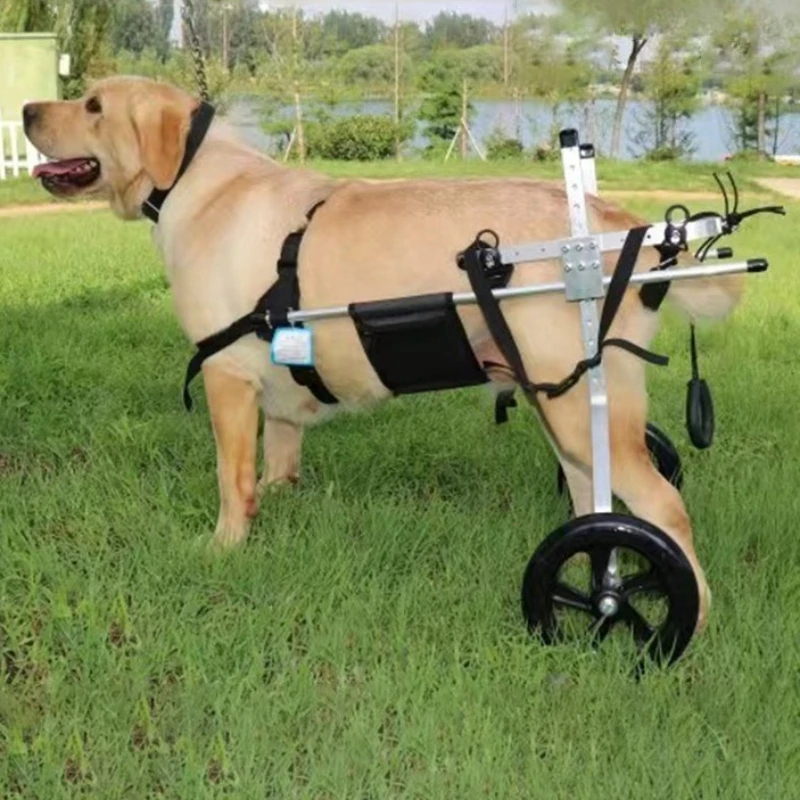 Silla de ruedas para perros, soporte trasero para rehabilitación y parálisis - imagen 4
