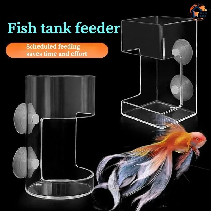 Comedero flotante para peces con ventosa – Bandeja acuario - imagen 3