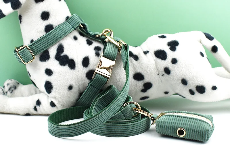 Conjunto de collar y correa de pana verde oscuro