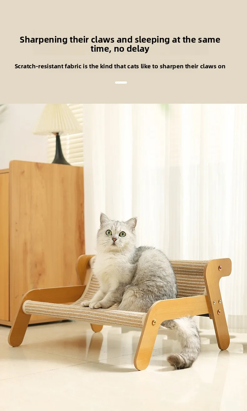 Gato contento en su rincón