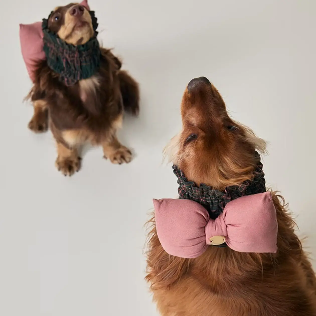 Gorro transpirable con lazo para perros pequeños, antisuciedad - imagen 4