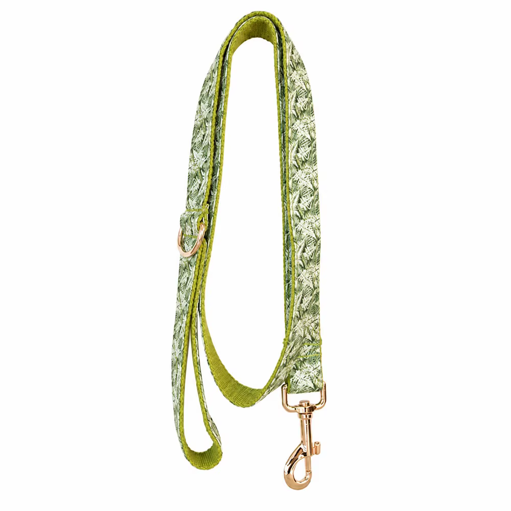 Collar personalizado para perro con hojas naturales y nombre