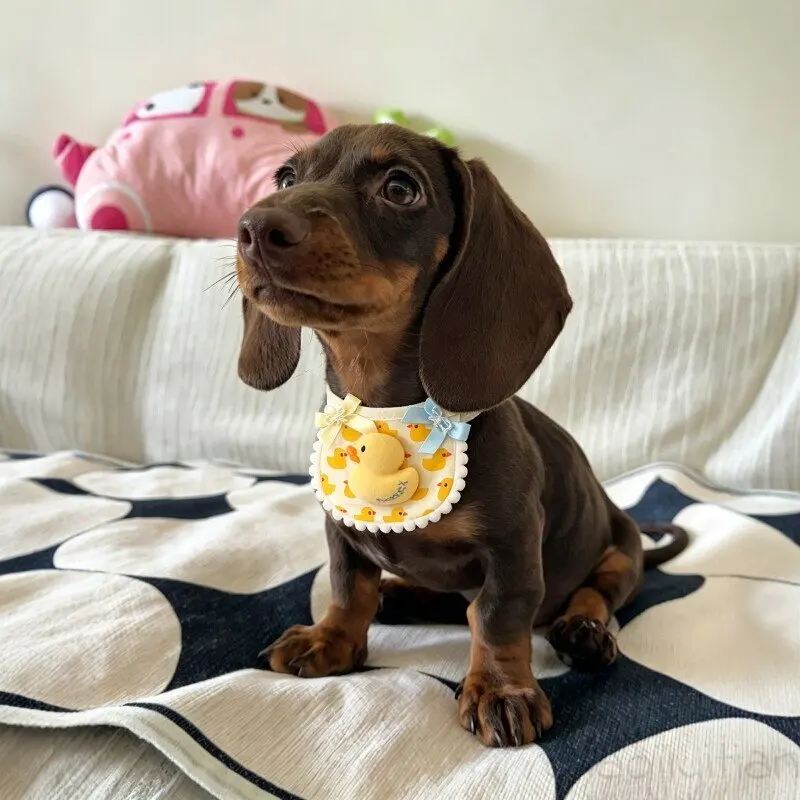 Pañuelo ajustable para perros pequeños y medianos