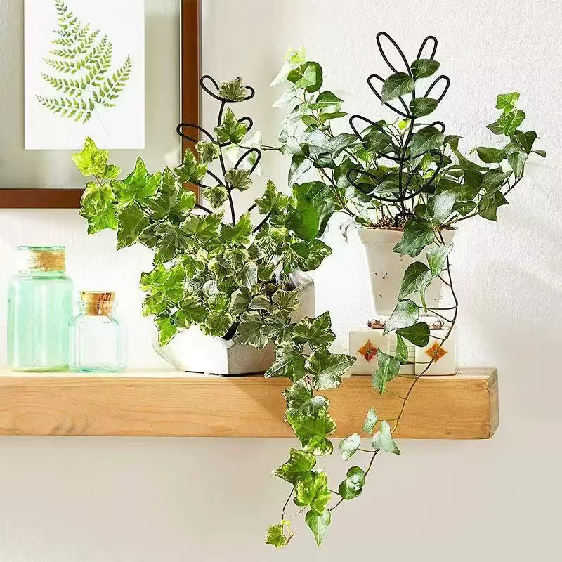 Soporte escalera plantas trepadoras – Estantería jardín interior y exterior - imagen 3