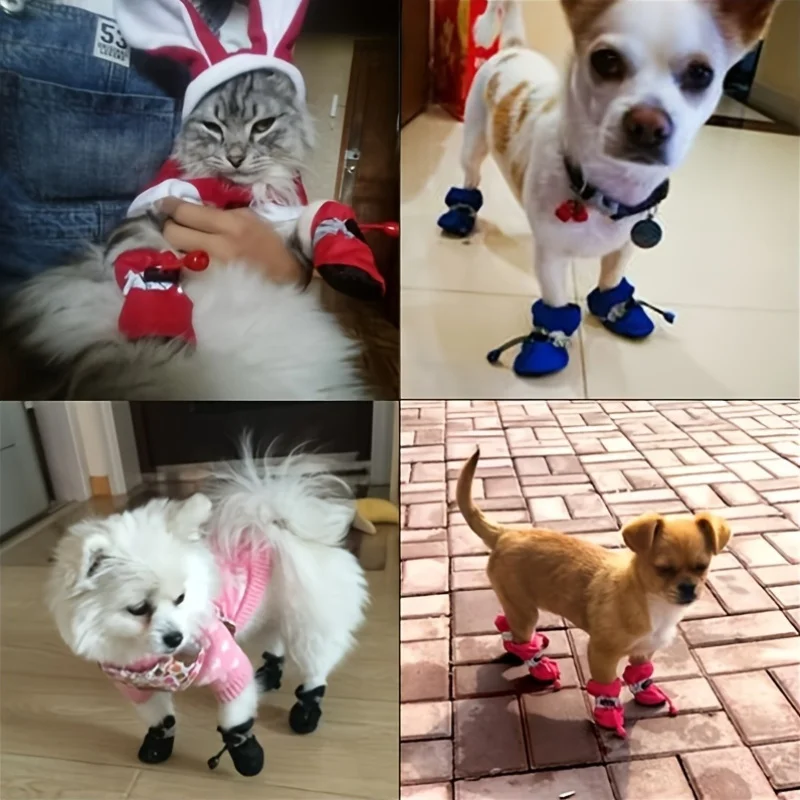 Perro usando botas en exterior húmedo