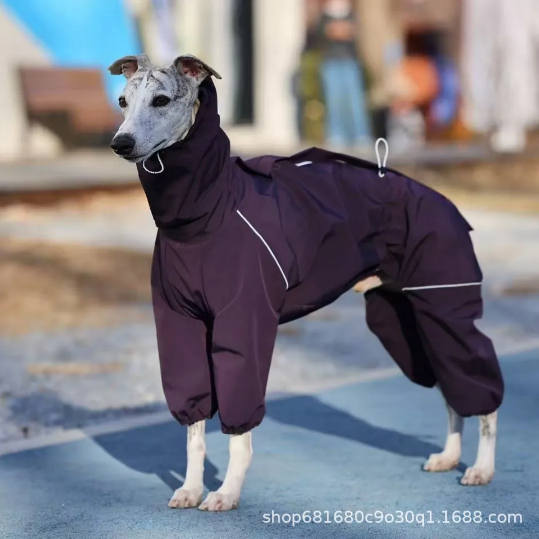 Abrigo para whippet en paseo al aire libre