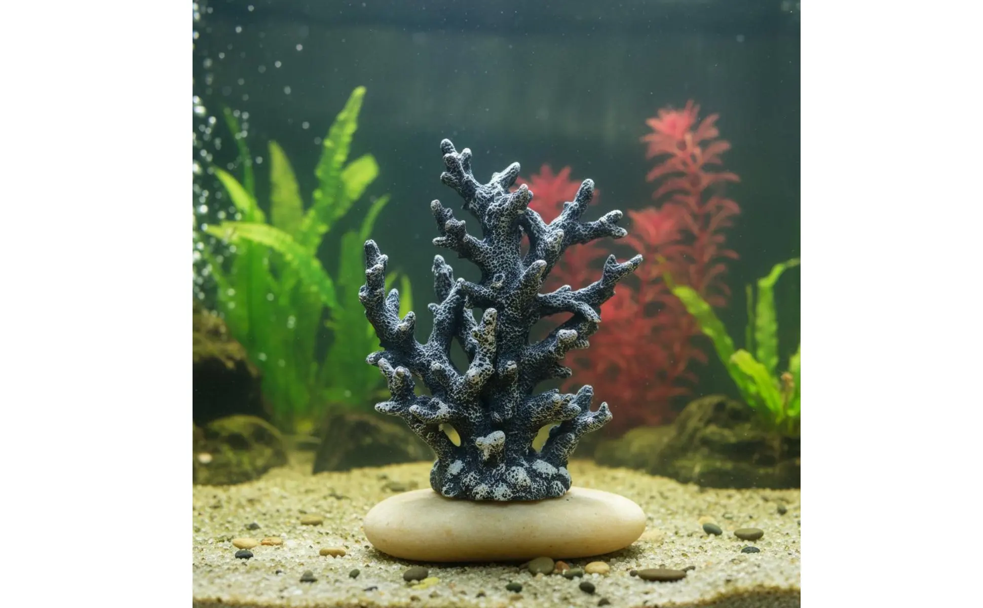 Decoración de rama oceánica en ambiente hogareño