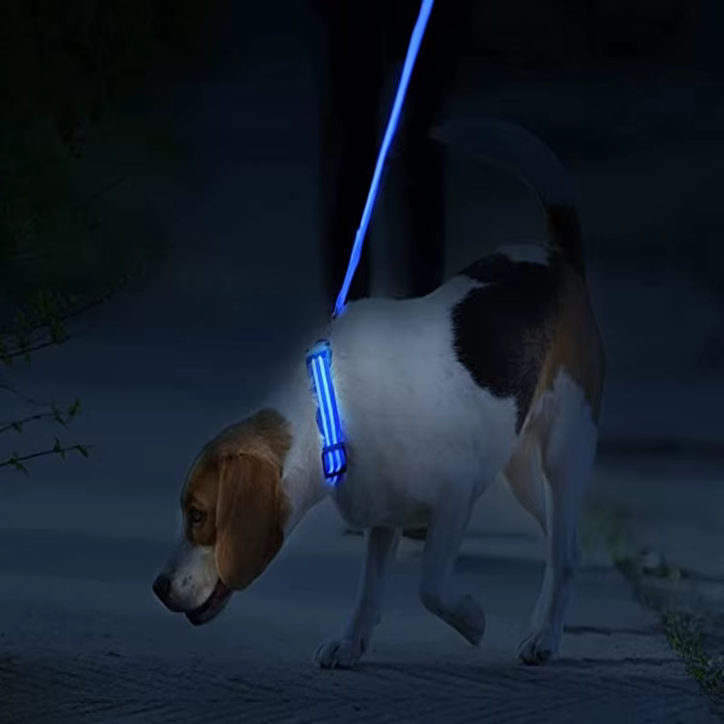 Pilas de botón CR2032 para el collar luminoso