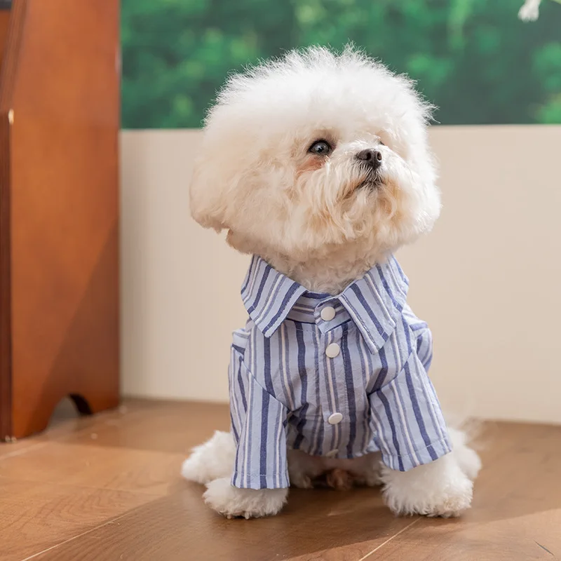 Ajuste cómodo para perro pequeño