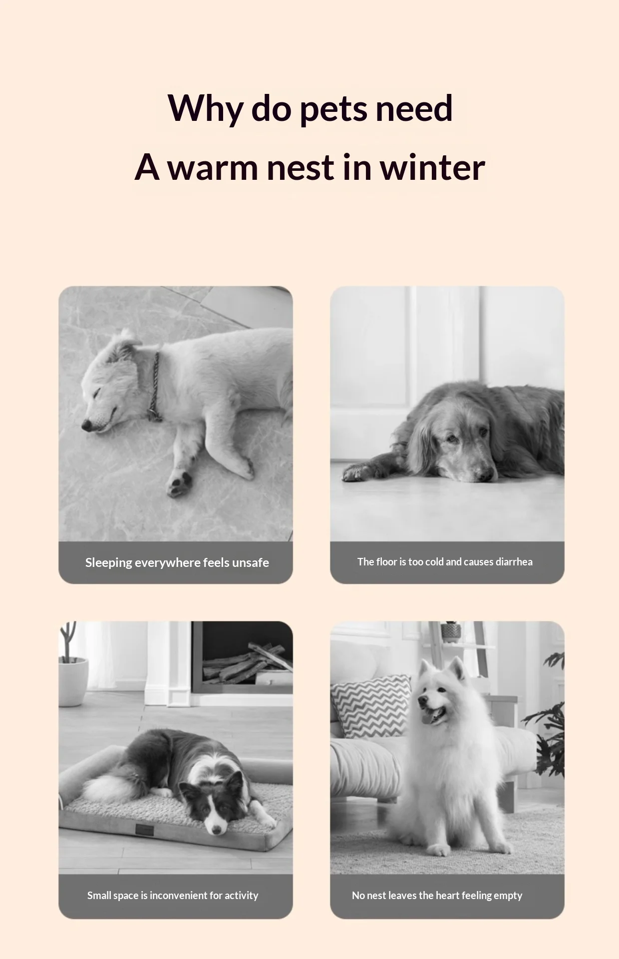 Casa para mascotas con aspecto cálido
