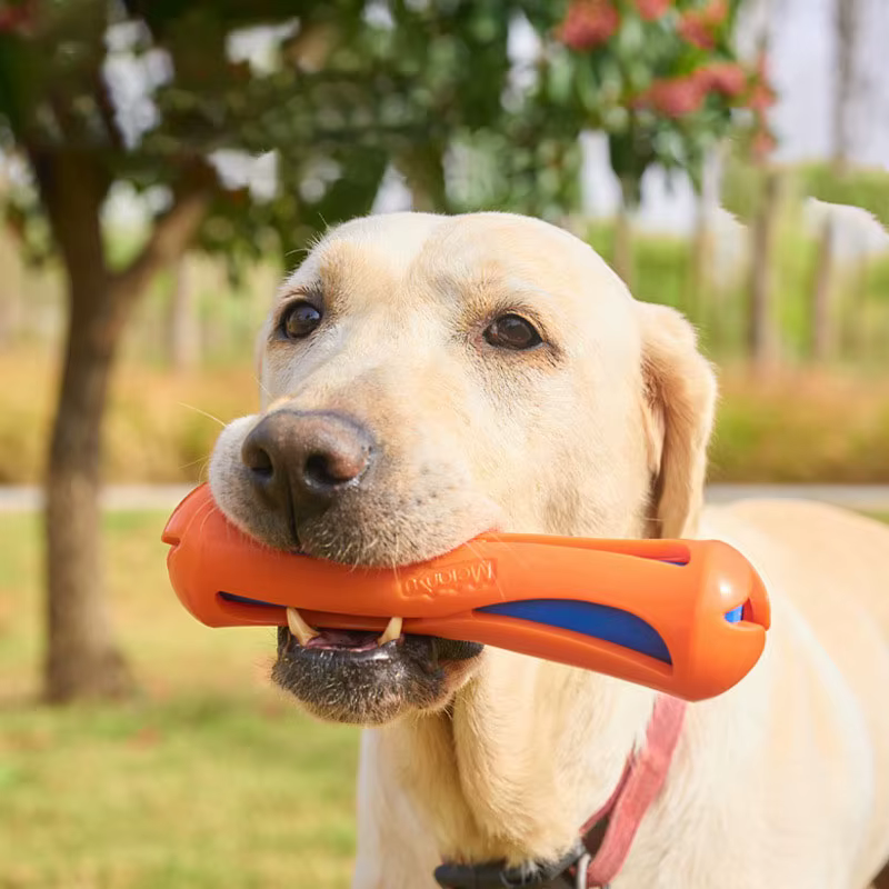 Juguete flotante interactivo para perros: bastón para adiestramiento - imagen 2