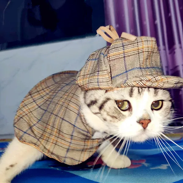 Capa y sombrero de detective para mascotas