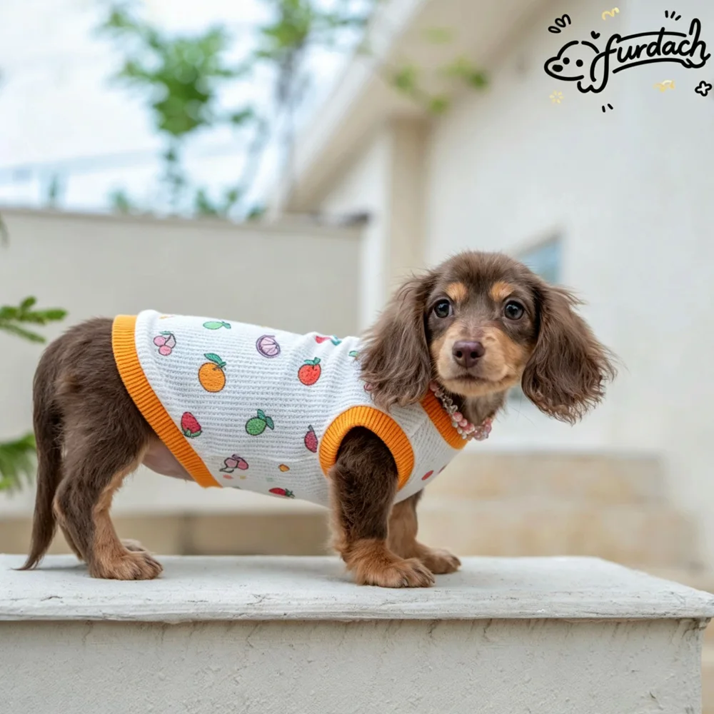 Camiseta sin mangas de verano para perros salchicha, estampado frutas - imagen 4
