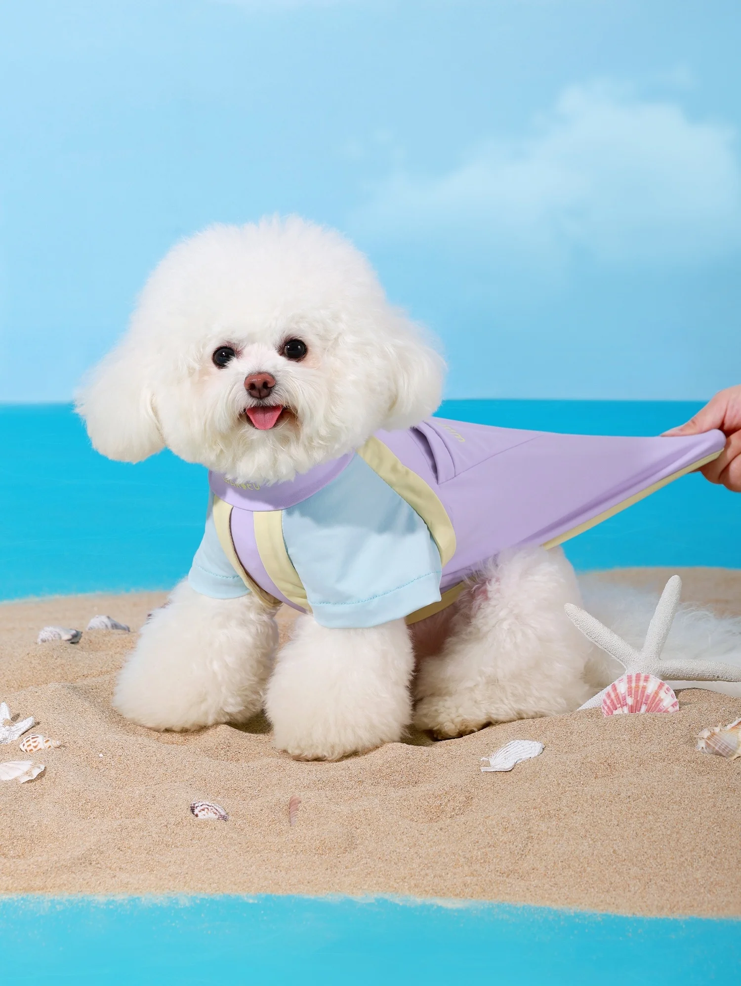 Camiseta de colores para perro pequeño