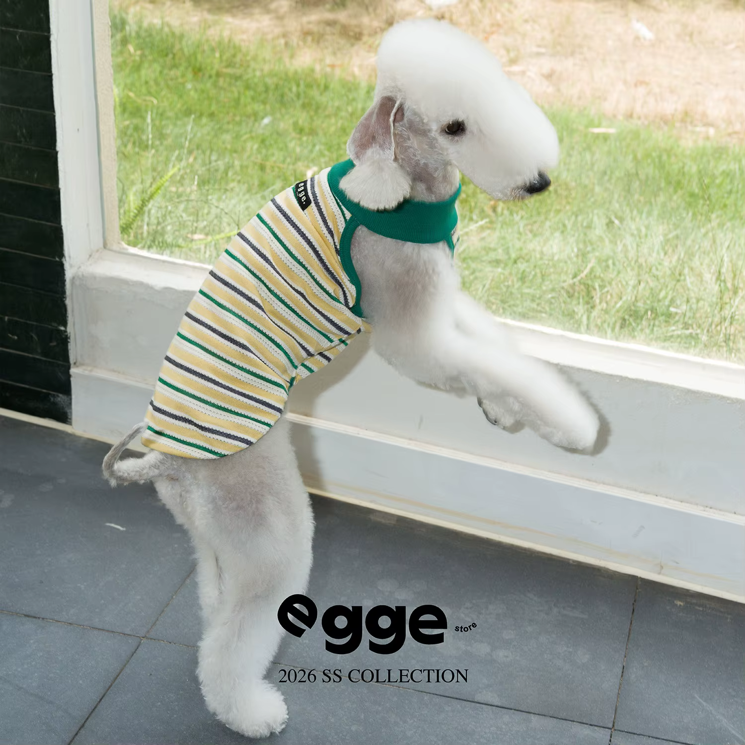 Chaleco punto calado sin mangas para Whippet y Galgo Italiano - imagen 3