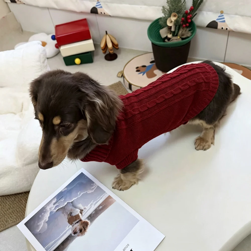 Jersey cálido para perro salchicha: abrigo de invierno muy suave - imagen 4