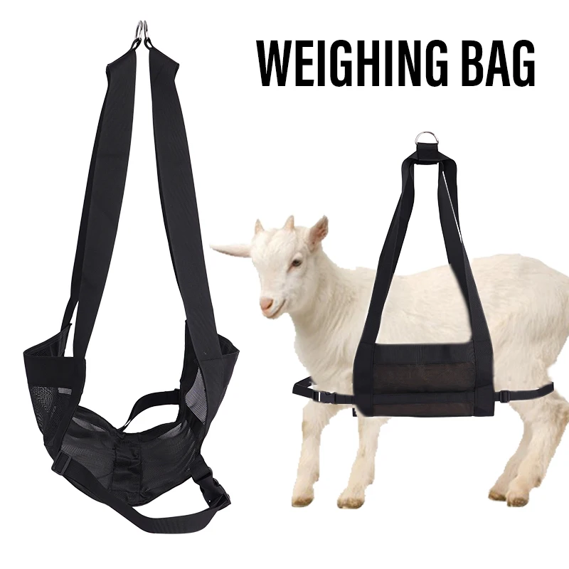 Uso del sling para cuidados de pezuñas