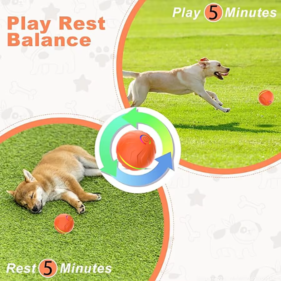Pelota automática para perros con USB – Juguete interactivo - imagen 4