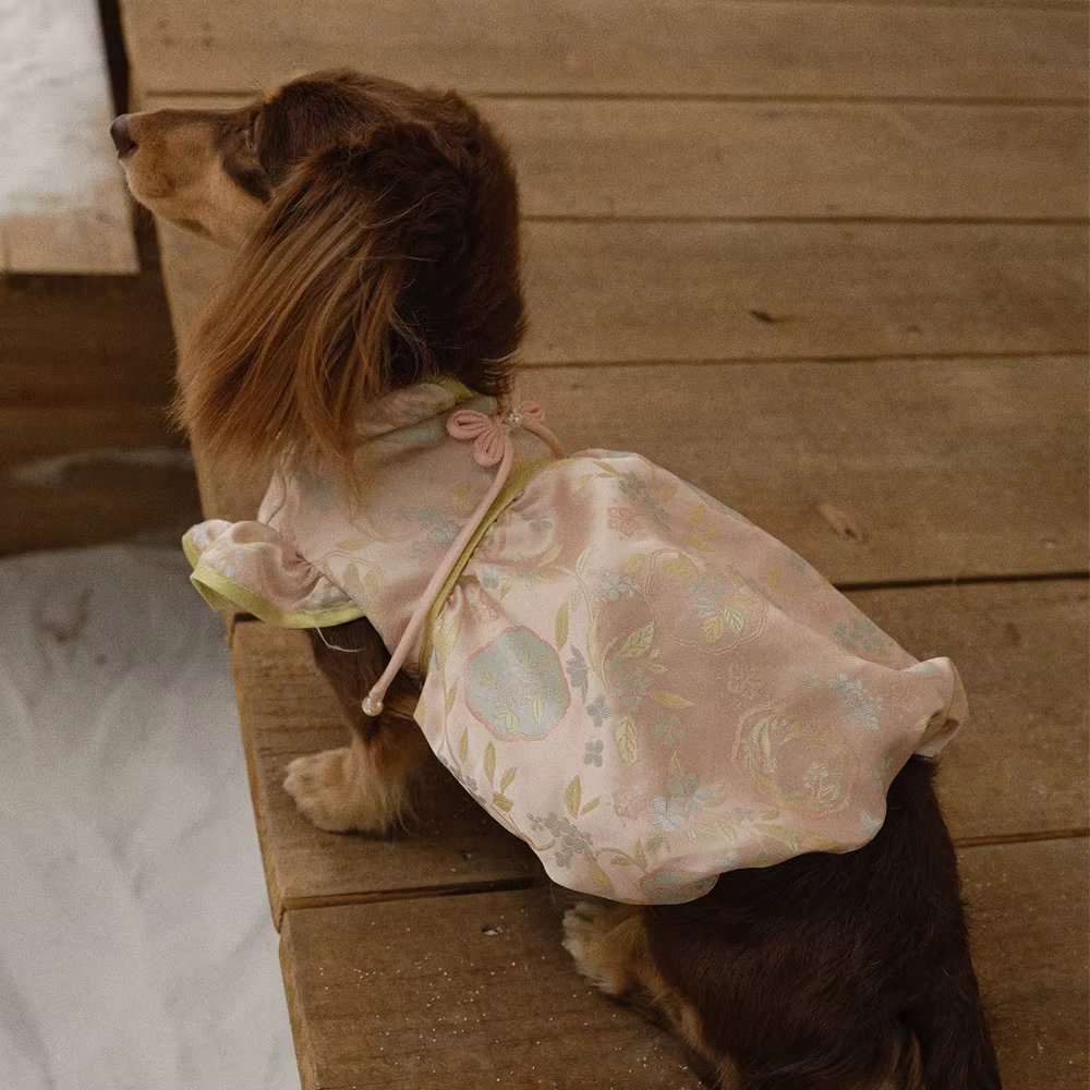 Vestido Cheongsam suave con lazo y perlas para teckel o perro mini - imagen 3