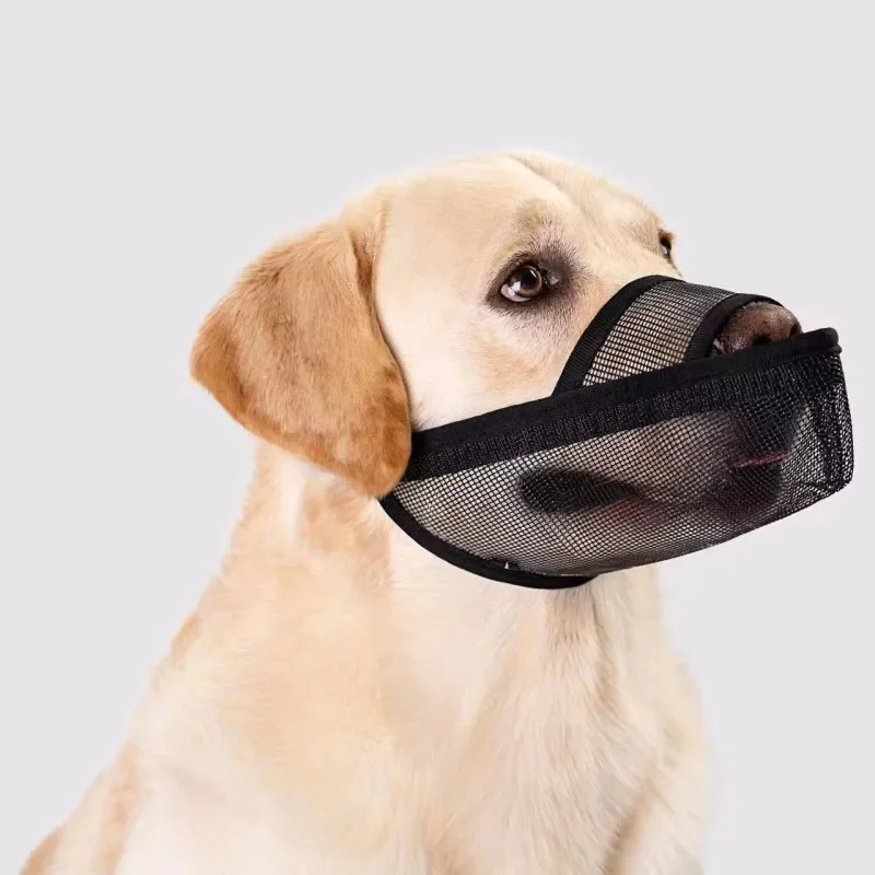 Perro usando el bozal cómodamente