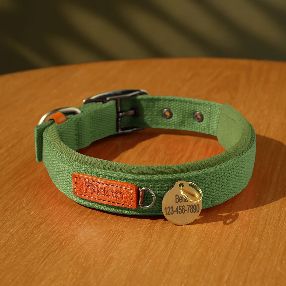Pug con collar Beirui