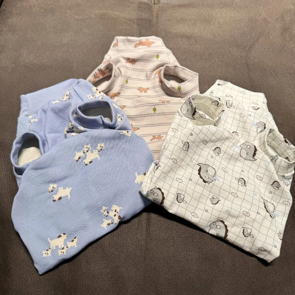 Prenda en uso por Devon Rex