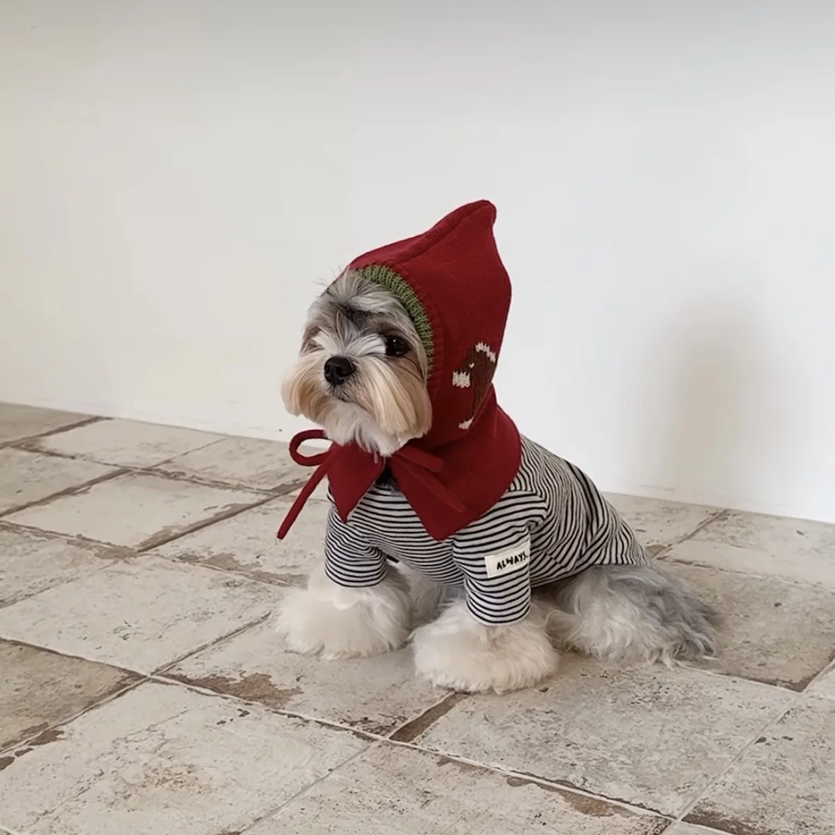 Gorro tejido para perros pequeños y gatos - imagen 3