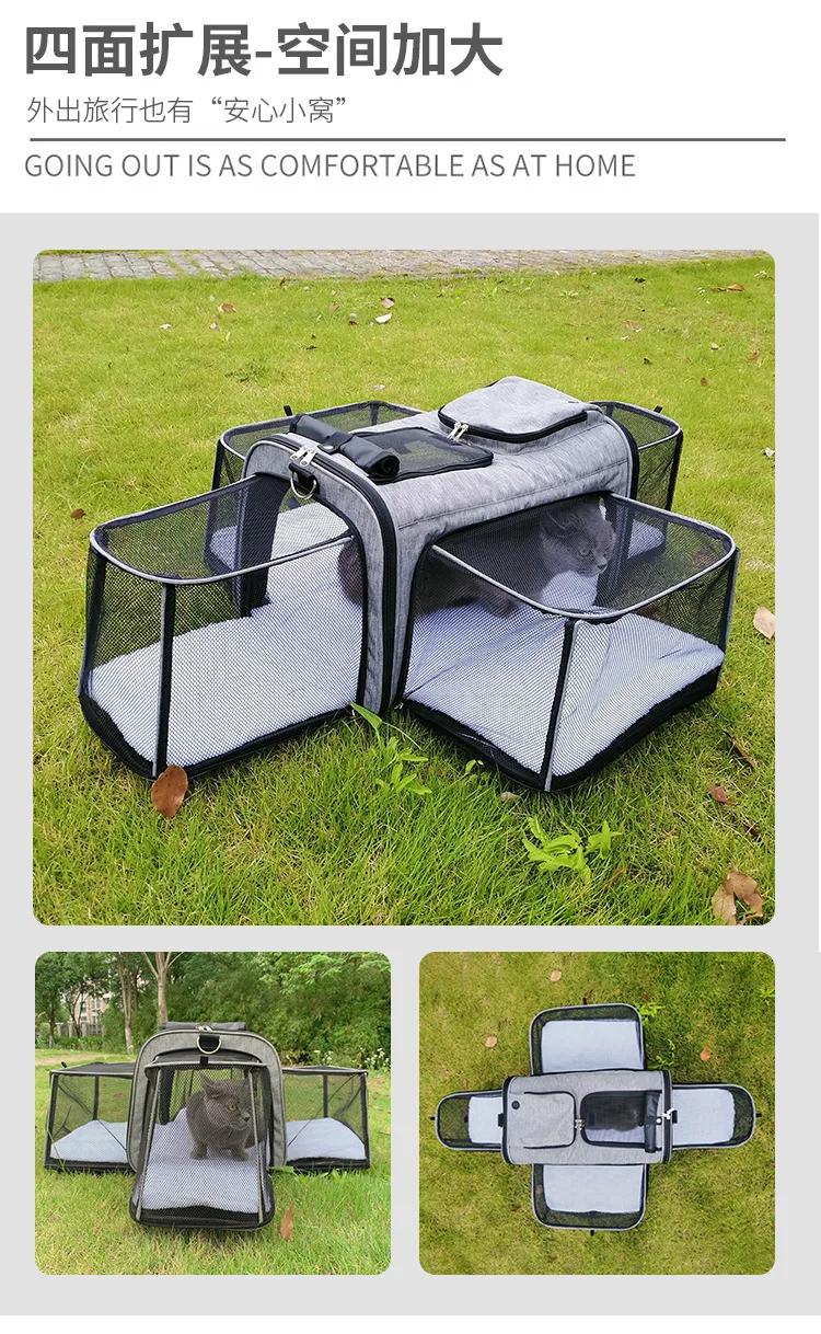 Conjunto de colores de la mochila