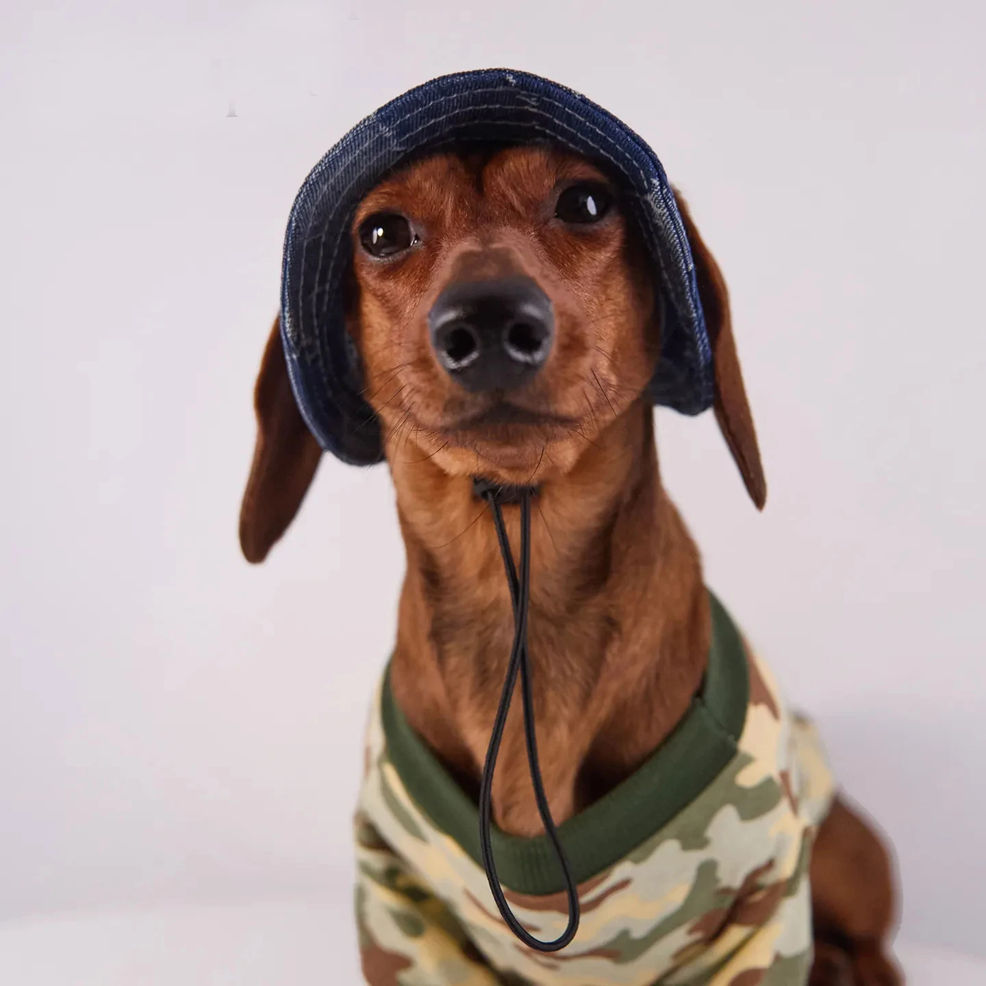 Tallas de la gorra para perros ABQP