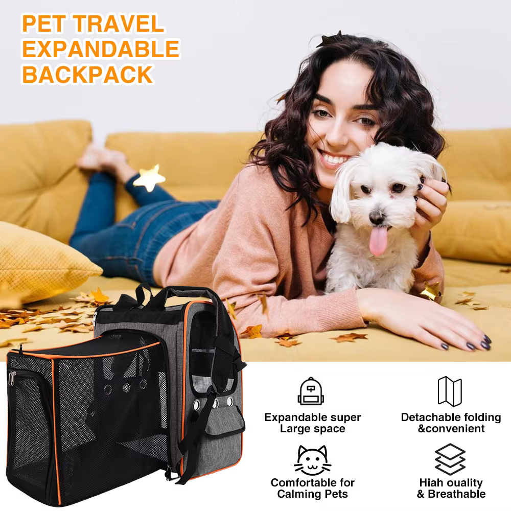 Mochila transportadora para mascotas usada por una persona