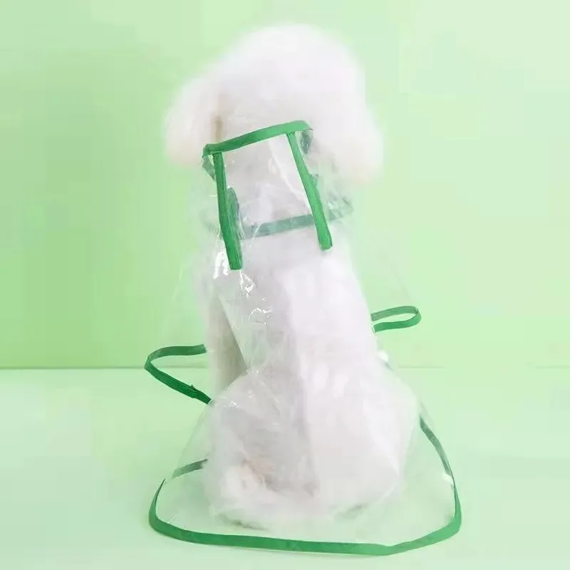 Perro pequeño usando el poncho de lluvia