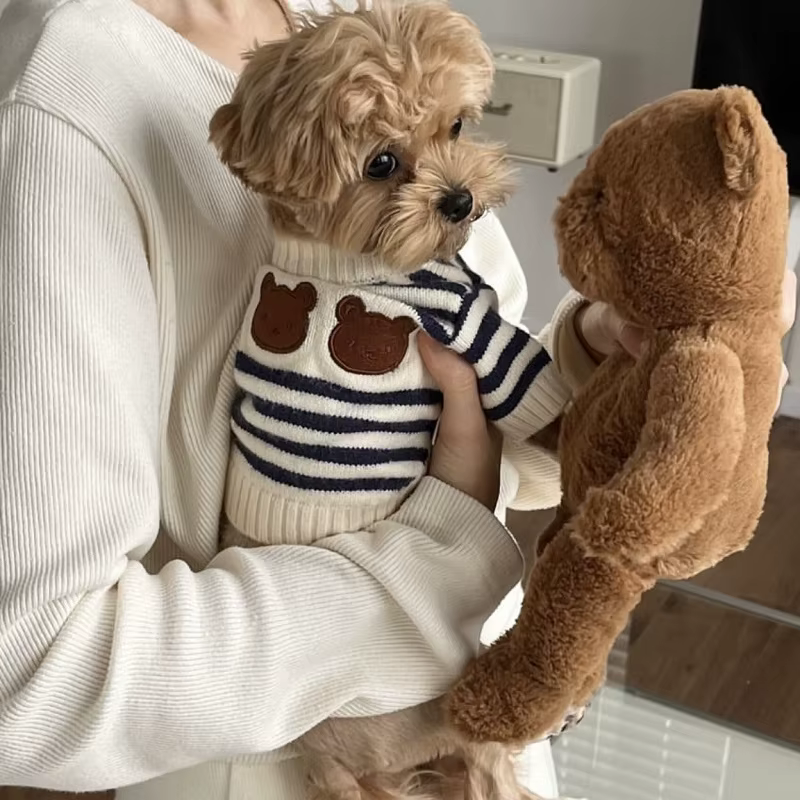 Jersey para Perro Pequeño – Suéter de Oso a Rayas para Chihuahua y Dachshund - imagen 3