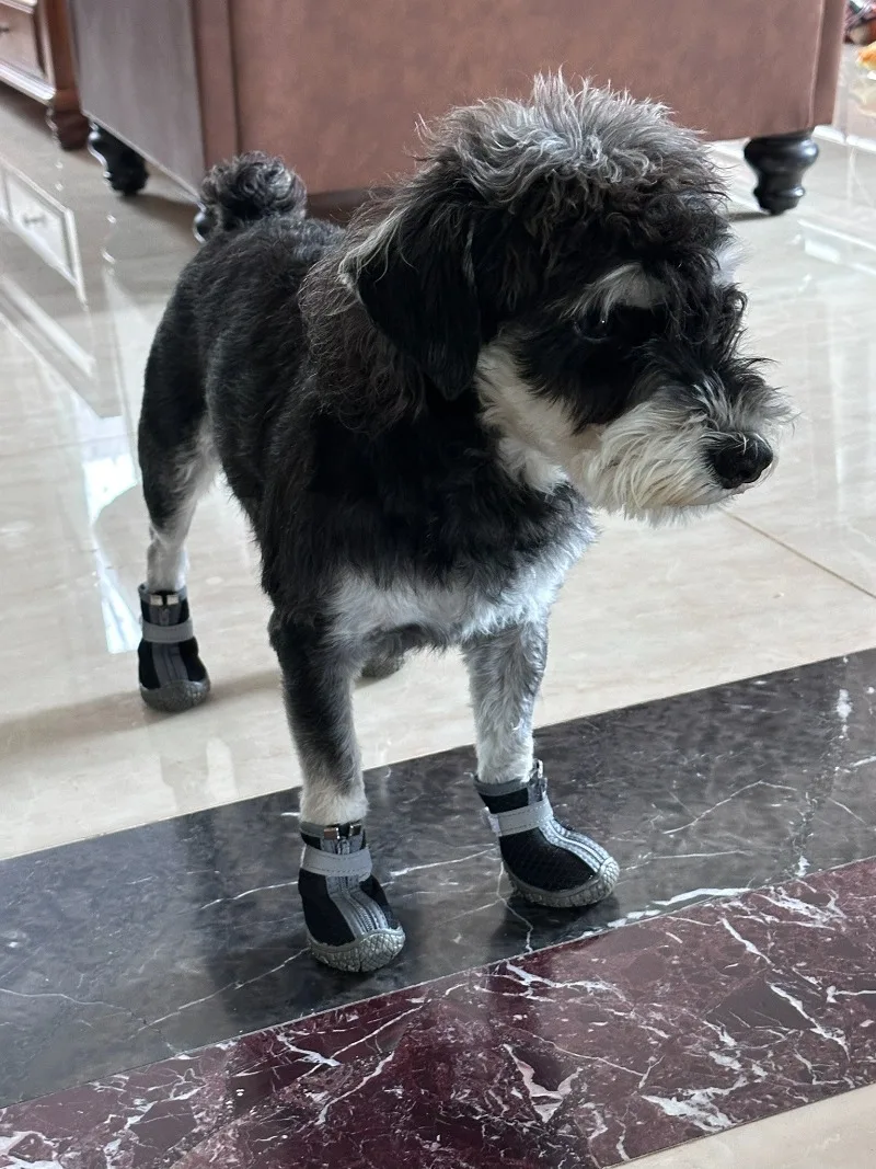 Zapatos para perros LZJV con suela antideslizante
