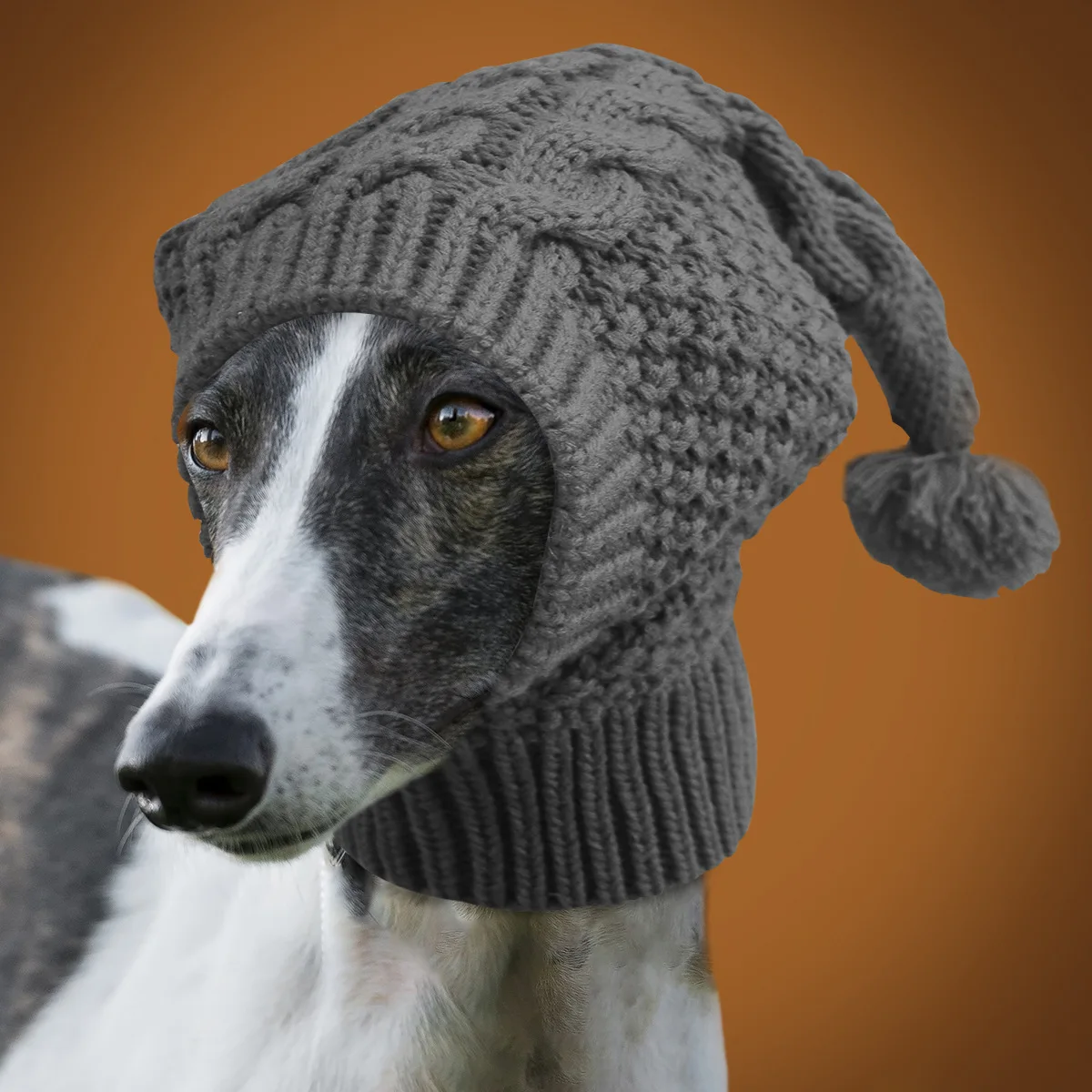 Gorro para galgo italiano visto desde arriba