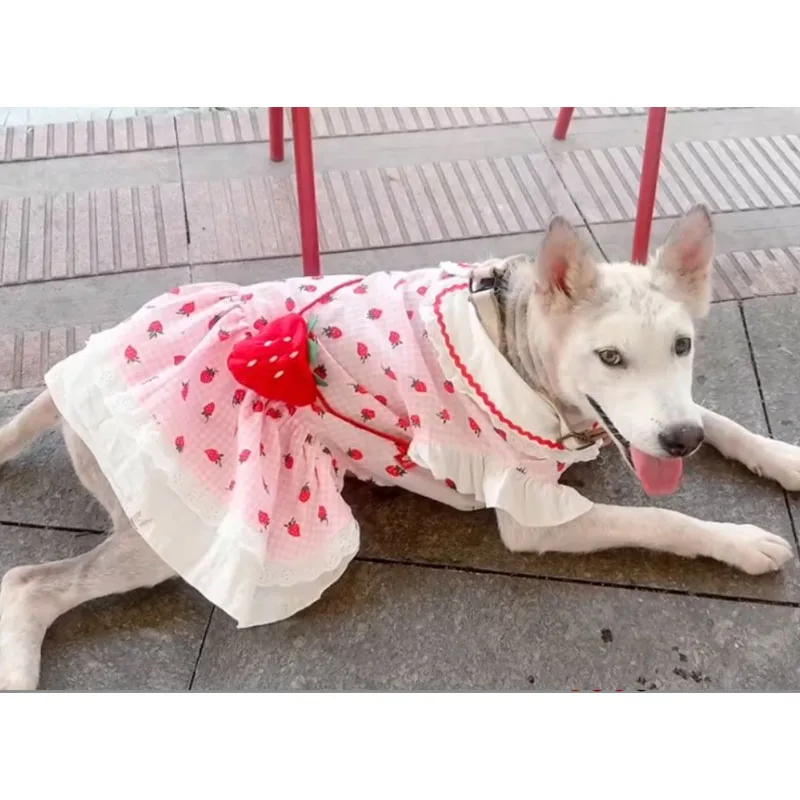 Vista del vestido en modelo