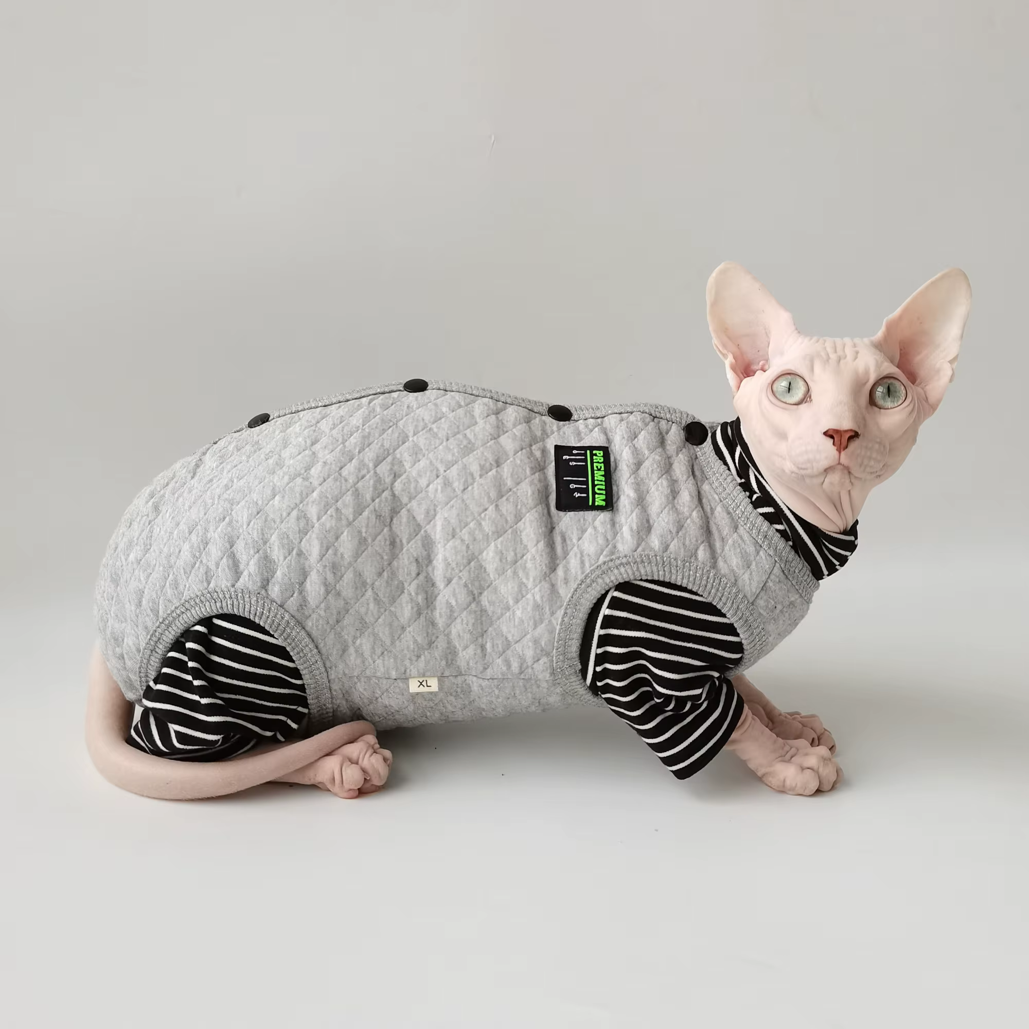 Abrigo invierno para gato Sphynx: vientre protegido, gris cálido - imagen 5